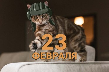 Дорогие мужчины, с 23 февраля вас!