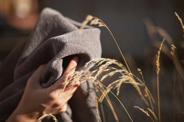 Бархатный сезон шениллов